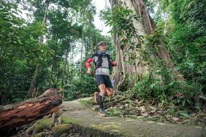 BIB: 
                            <button type="button" onclick="openModal(24809749)" class="btn btn-primary btn-sm float-right btn-popup" data-toggle="modal" data-target=".modal-high-quality">
                        <i class="fas fa-shopping-cart"></i> Add to Cart
                    </button>
                                            <button type="button" onclick="isThisMe(24809749, true)" class="btn btn-success btn-sm float-right btn-popup btn-isme hidden" data-toggle="tooltip" data-placement="bottom" title="นี่คือรูปของคุณใช่ไหม คลิกที่นี่เพื่อเอาเข้าอัลบั้ม">
                        <i class="fas fa-plus"></i> Add to album
                    </button>
                    <button type="button" onclick="isThisMe(24809749, false)" class="btn btn-warning btn-sm float-right btn-popup btn-isnotme hidden">
                        <i class="fas fa-ban"></i> Remove from album
                    </button>